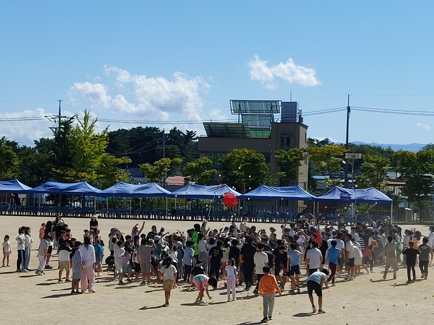 2024 동해초등학교 한마당 축제 사진